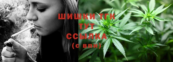 PSILOCYBIN Покачи