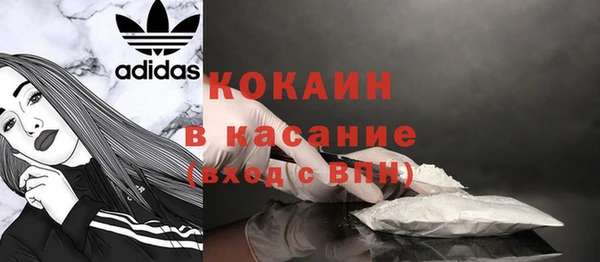 PSILOCYBIN Покачи