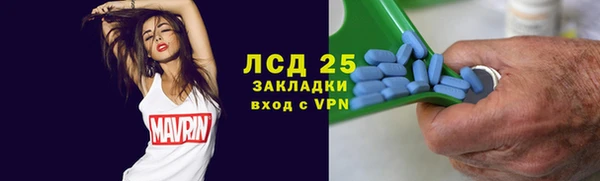 PSILOCYBIN Покачи