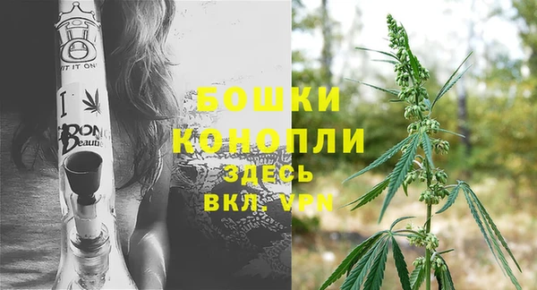 шишки Покровск